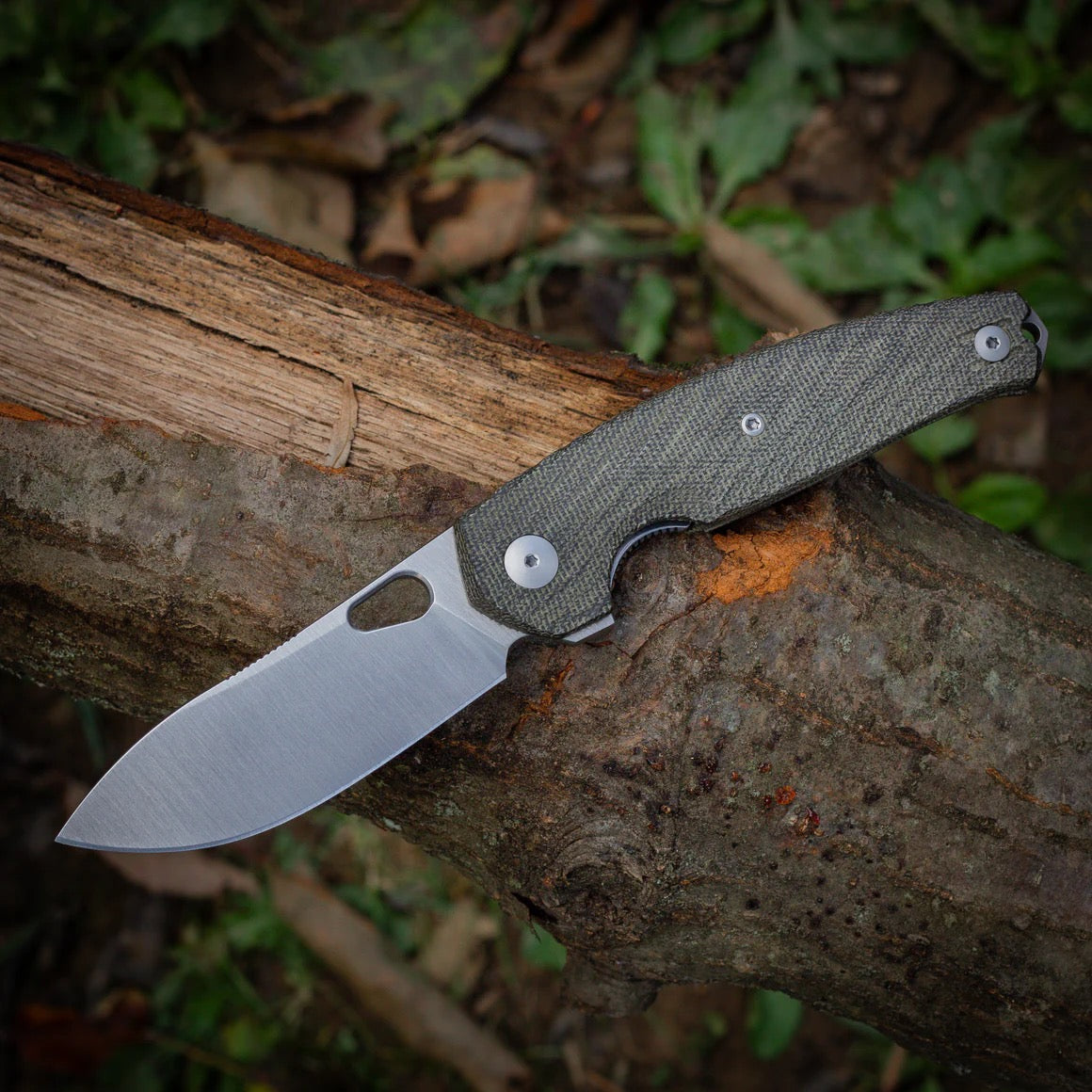 Giant Mouse ACE Jagt 3.27in Magnacut Blade Green Canvas Micarta Handle
