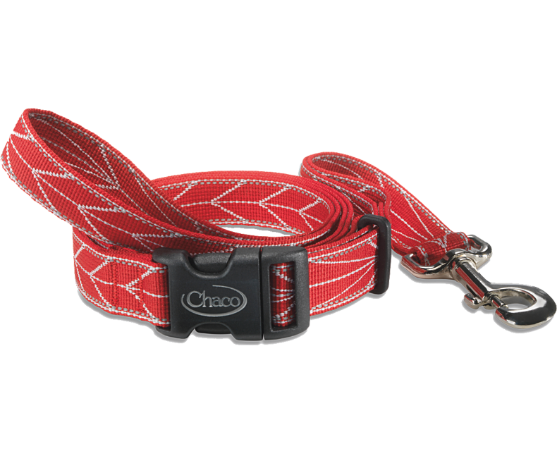 Chaco Dog Leash