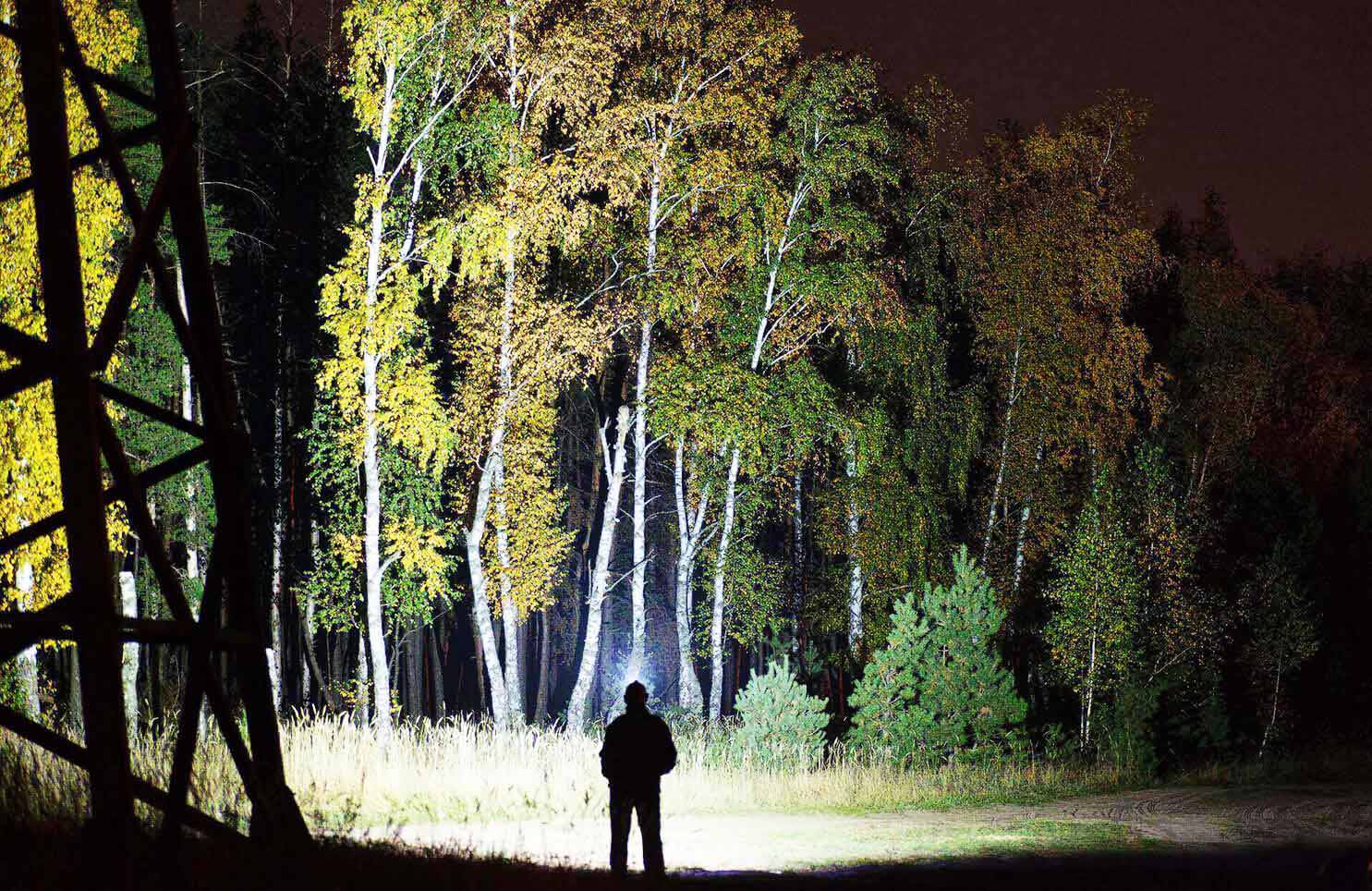 Acebeam H30 ACE-H30 beam shot illuminating a forest trail at night