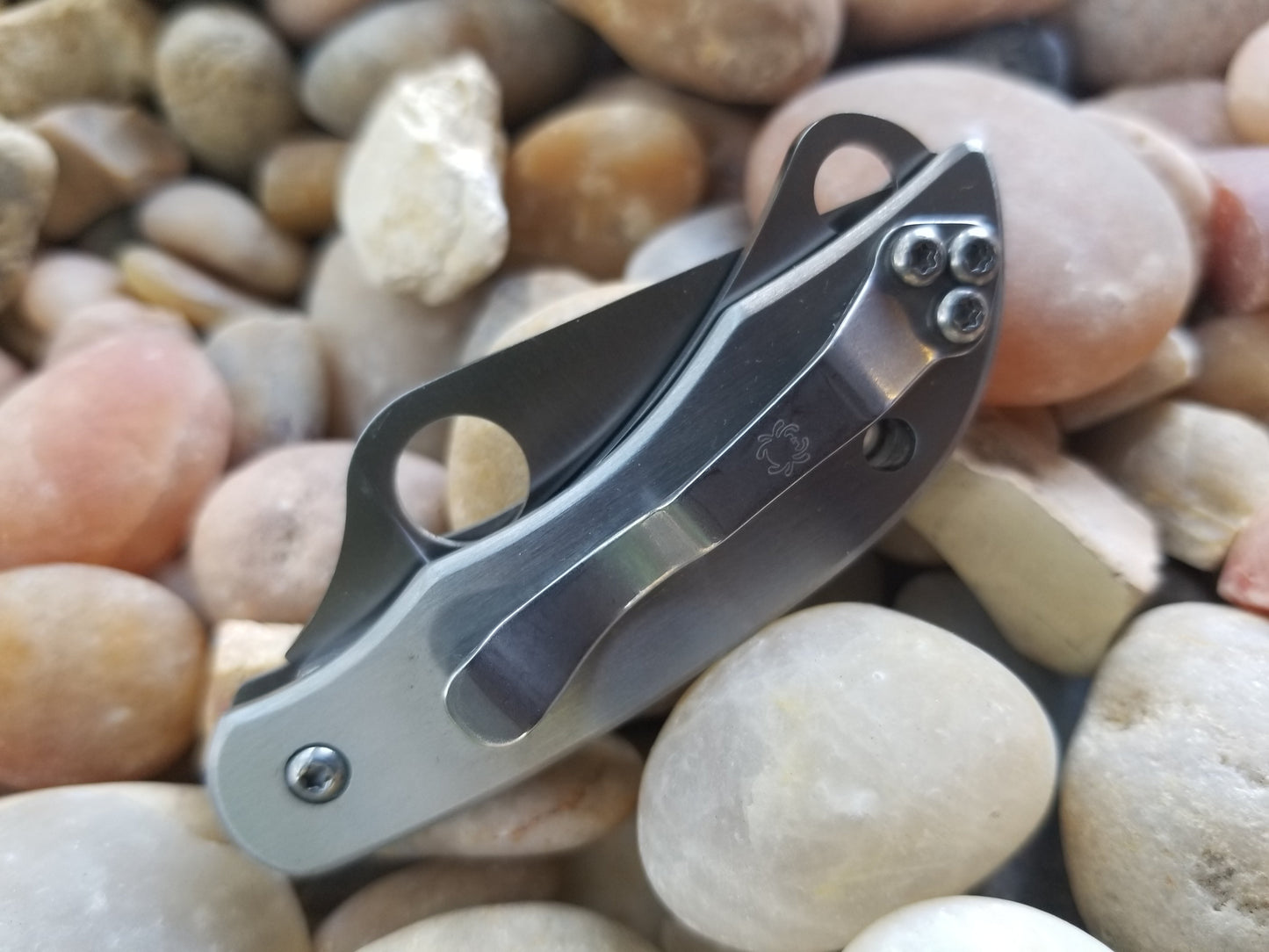 Spyderco ClipiTool C176P&S Plain/Serrated (2.02 Inch Blade)