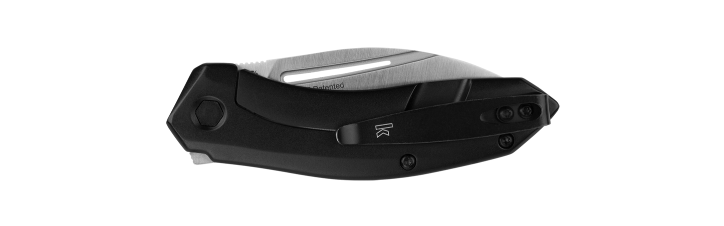 Kershaw 5505 Turismo Assisted Opening Knife 2.9in D2 Steel Blade w/ Stainless Steel Handles