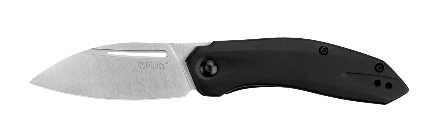 Kershaw 5505 Turismo Assisted Opening Knife 2.9in D2 Steel Blade w/ Stainless Steel Handles
