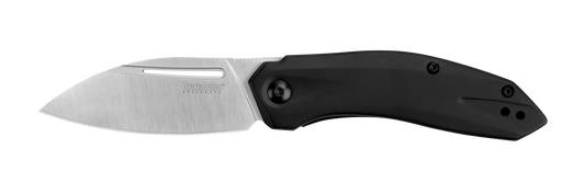 Kershaw 5505 Turismo Assisted Opening Knife 2.9in D2 Steel Blade w/ Stainless Steel Handles