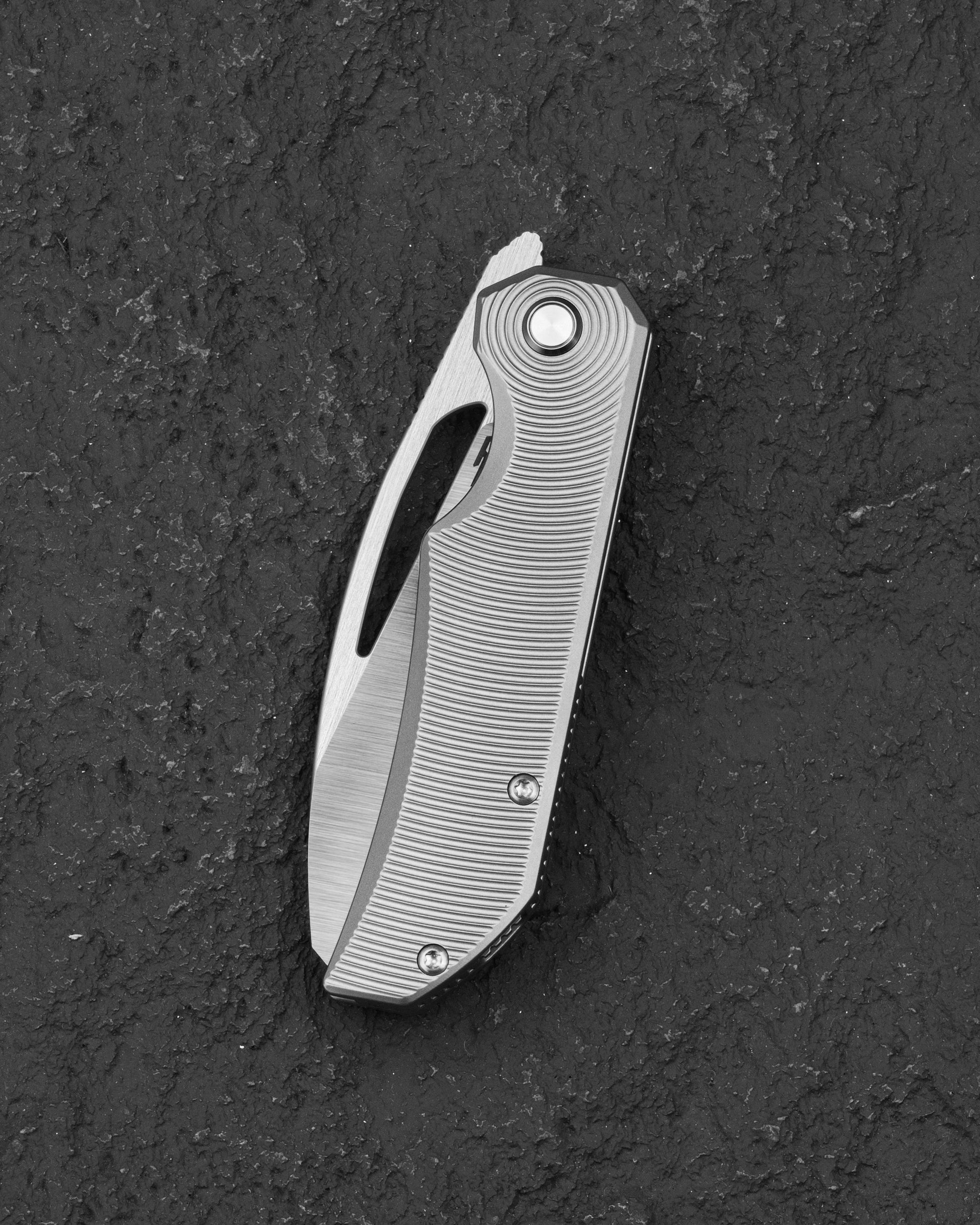 Bestech Mini Taipan BT2603C Titanium Handle Folding Knife Closed View