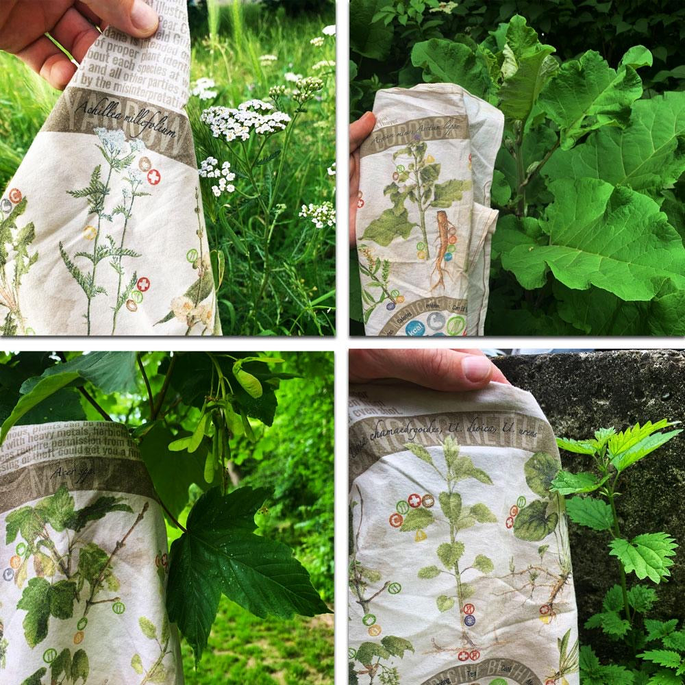 Wazoo Foraging Bandana | Field Reference and Foraging Tool