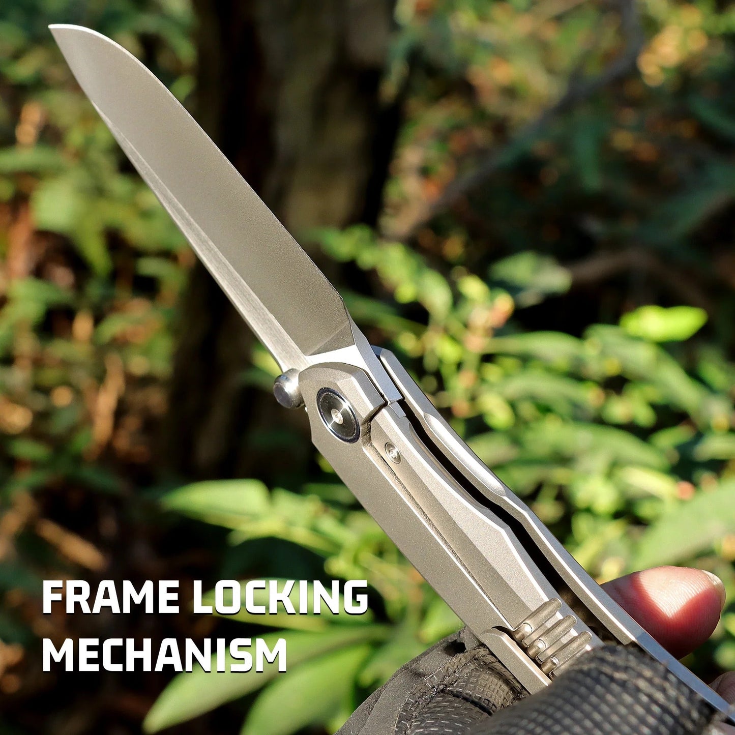 Remette Wild Species WD108-G Folding Knife – 3.6" M390 Blade, Titanium Handle