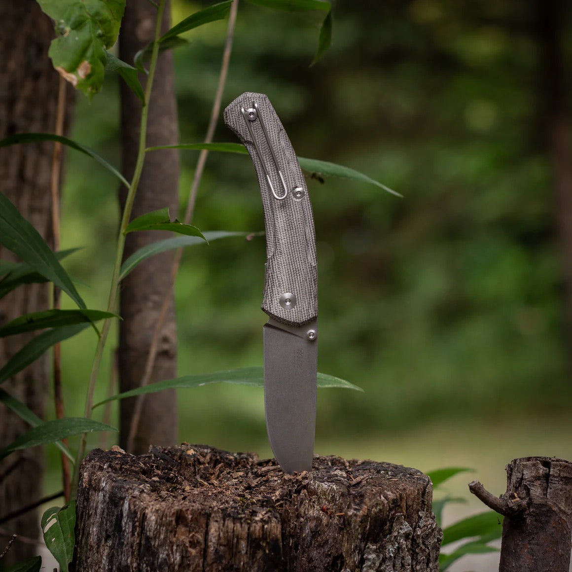 Giant Mouse Ace IONA V2 Folding Knife 3in Stonewashed Magnacut Blade Green Canvas Handles