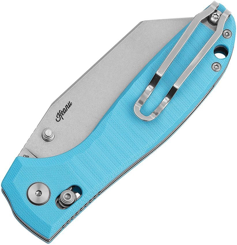 BESTECH Liger BG61D Light Blue G10 Handle 3.61 in Stonewashed D2 Blade
