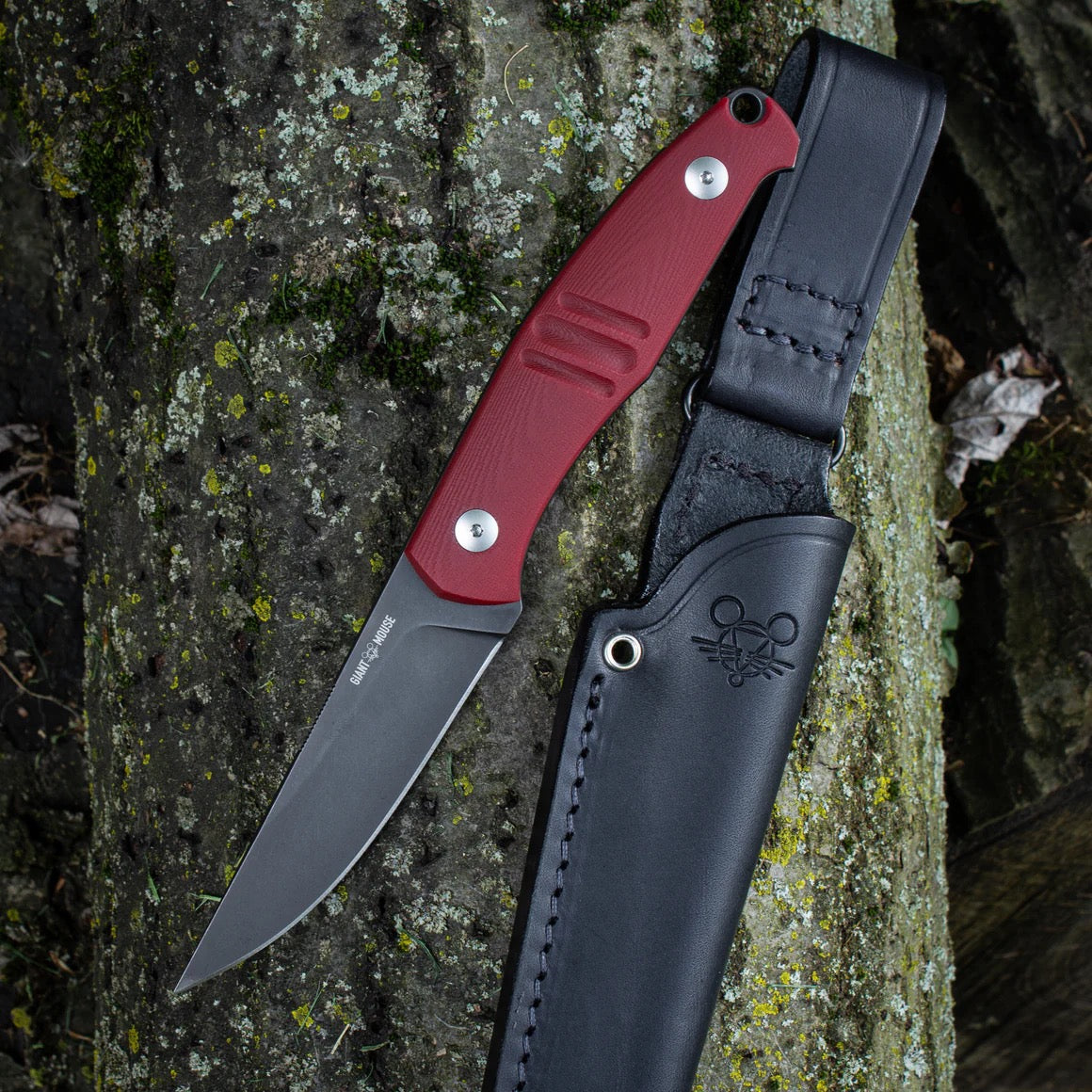 Giant Mouse GMF2-P-R 3.63in PVD N690 Fixed Blade Red G10 Handle Black Leather Sheath