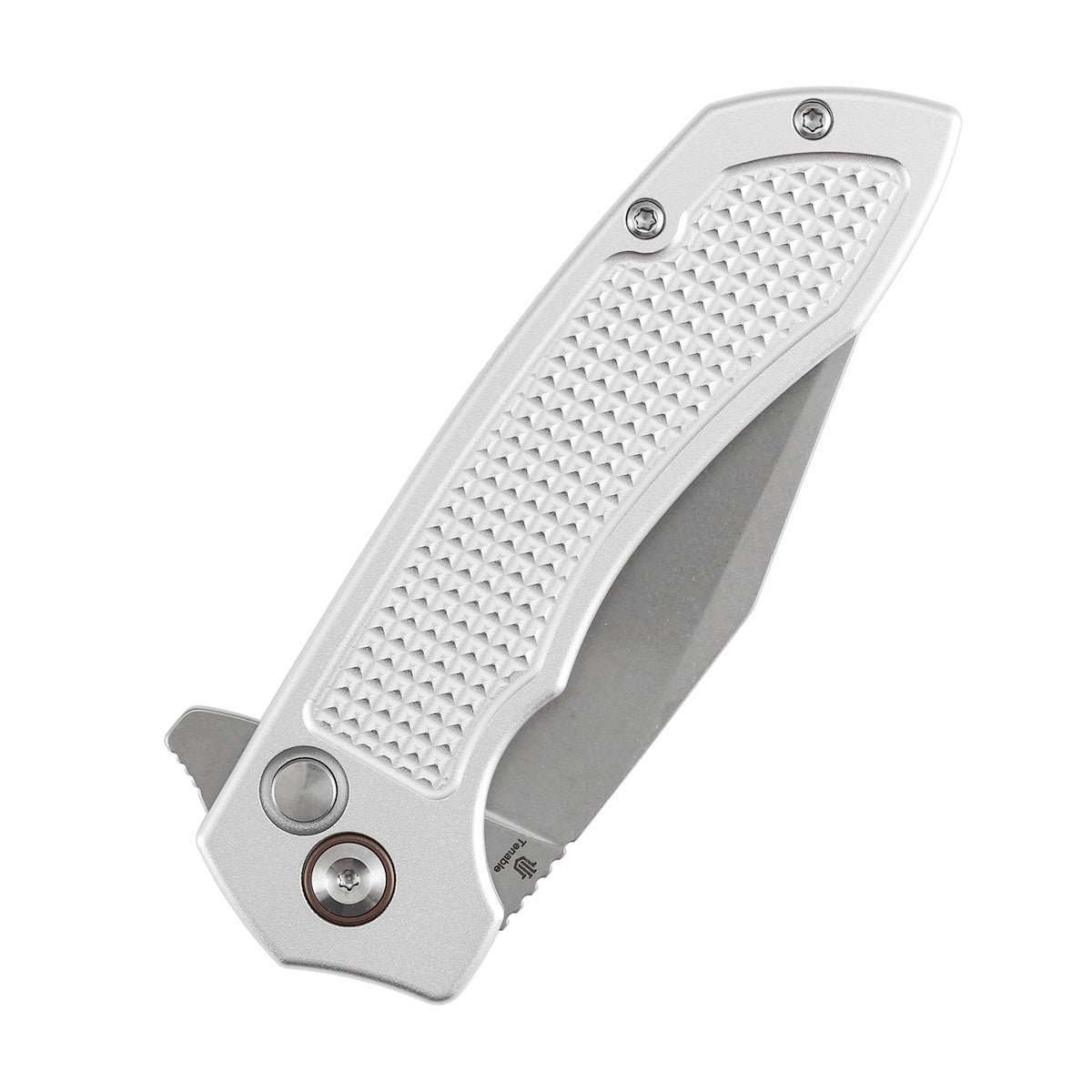Tenable Entity B1036F3 button lock detail