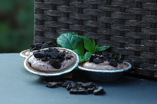 Backpacker's Pantry Dark Chocolate Cheese Cake