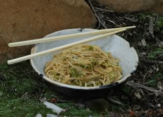 Backpacker's Pantry Pad See You with Chicken