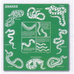 Snakes Cotton Bandana
