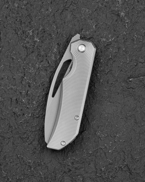 Bestech Mini Taipan BT2603A – 3.25" MC Blade Folding Knife with Bead Blast Stonewashed Titanium Handle