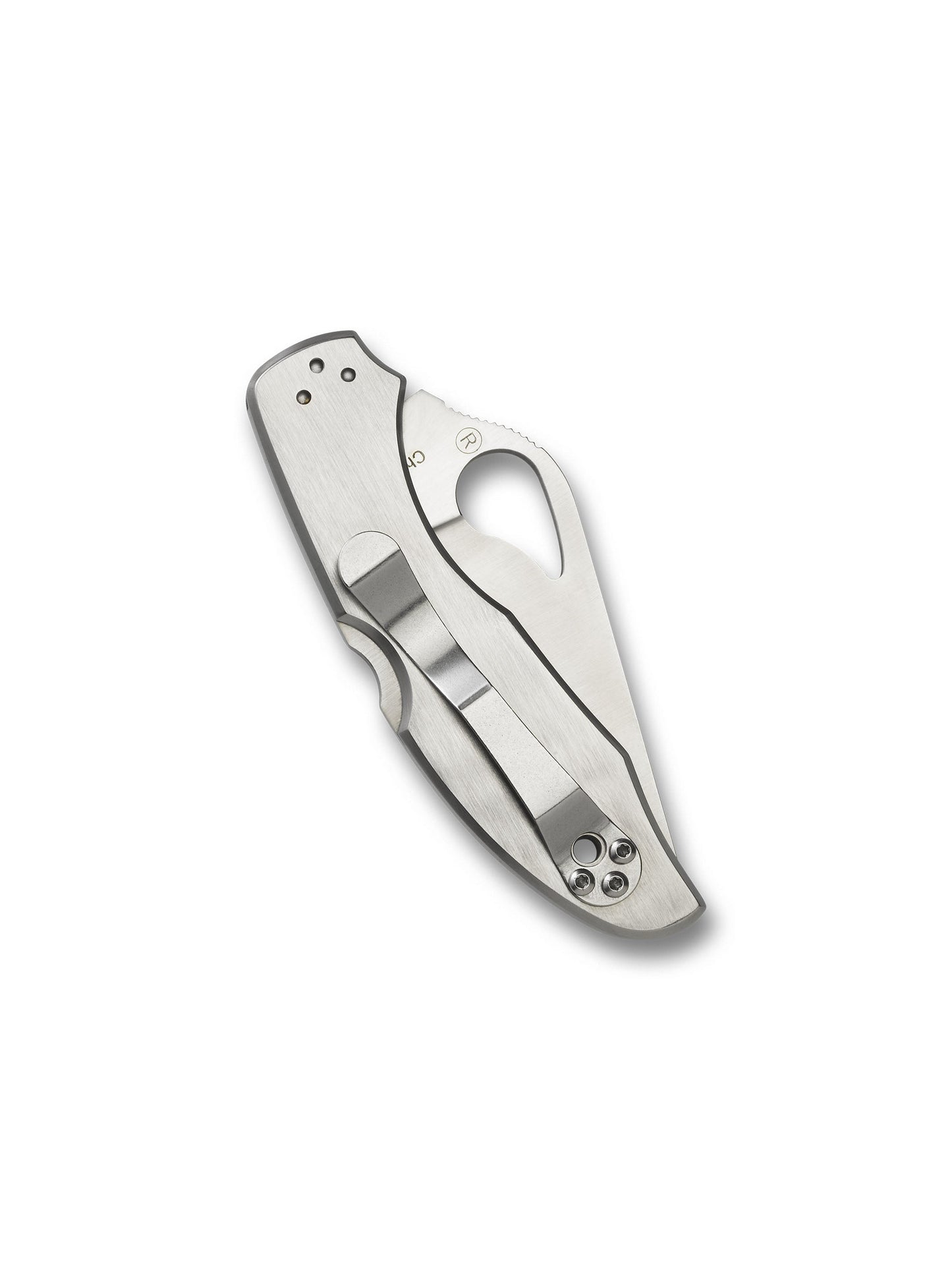 Spyderco Byrd Meadowlark 2 BY04P2 closed view showing satin stainless steel handle and pocket clip