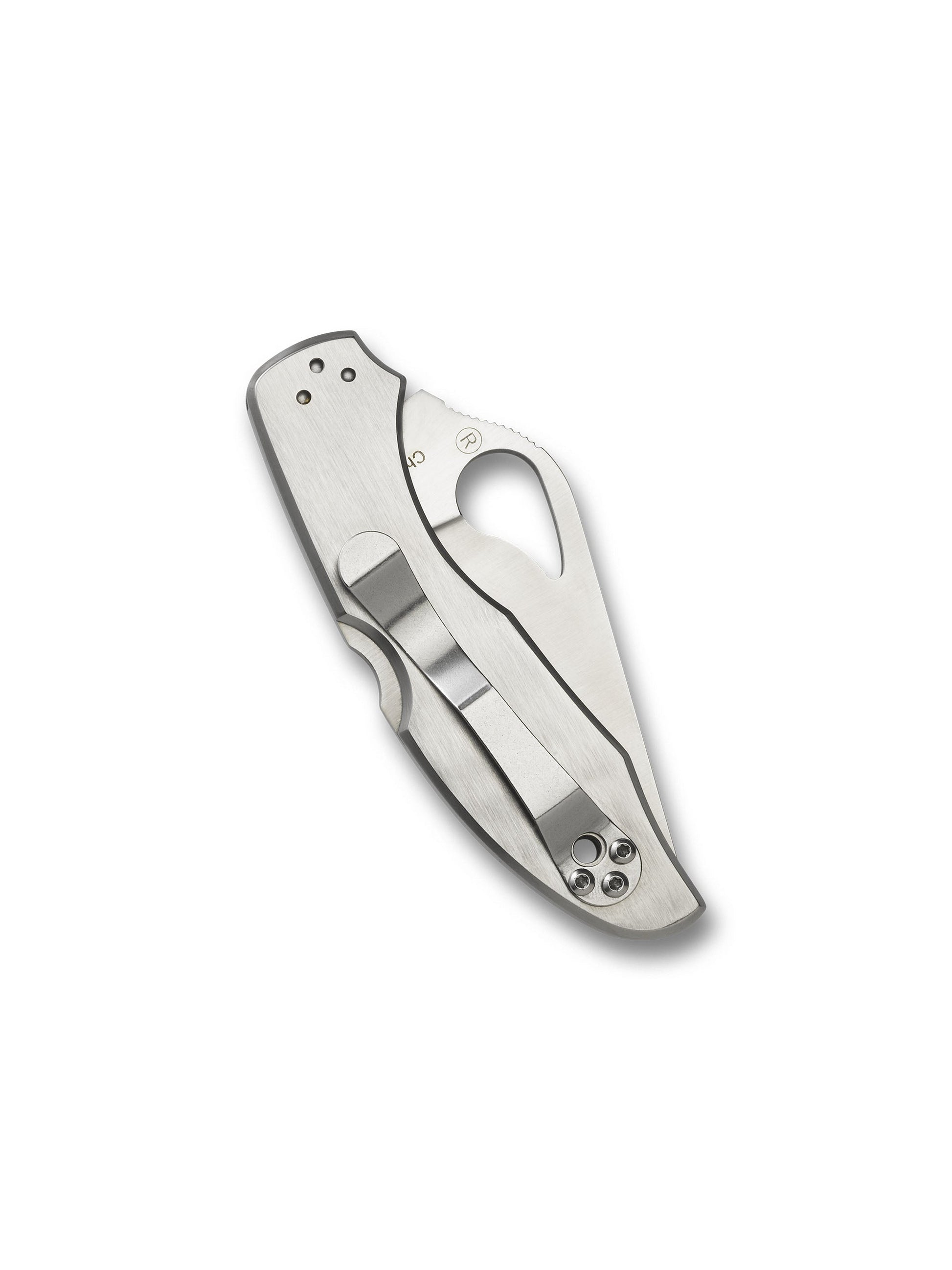 Spyderco Byrd Meadowlark 2 BY04P2 closed view showing satin stainless steel handle and pocket clip