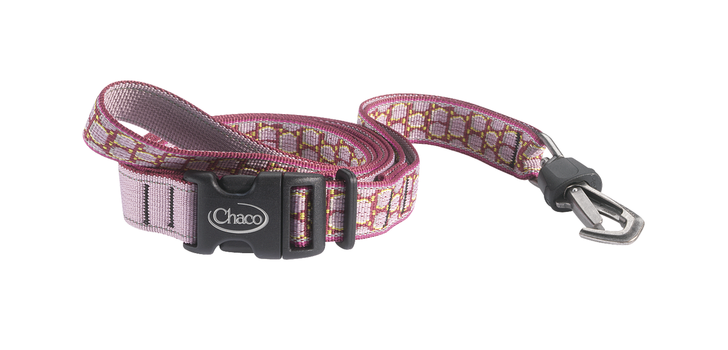 Chaco Dog Leash