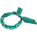 Ever Cool Bandana