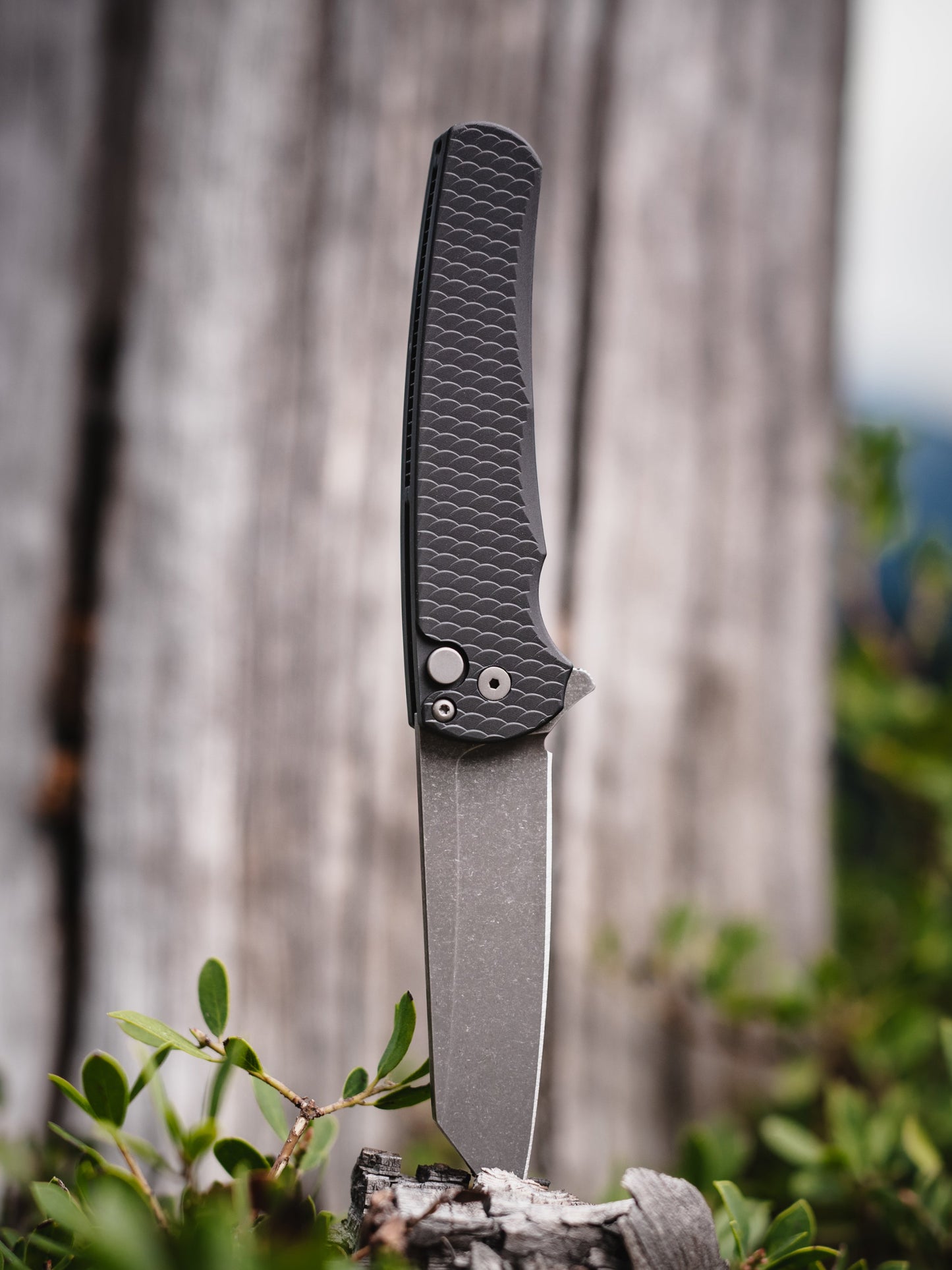 Pro-Tech Malibu 5435-AW – Acid Wash MagnaCut Reverse Tanto, Black Dragon Scale Handle