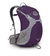 Osprey Sirrus 24 Womens Medium Backpack - Amethyst