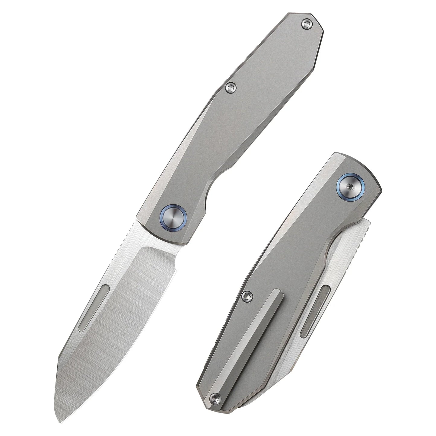 REMETTE RT-Squirrel Folding Knife â€“ M390 Premium Blade with Titanium Handle | RTDP-G
