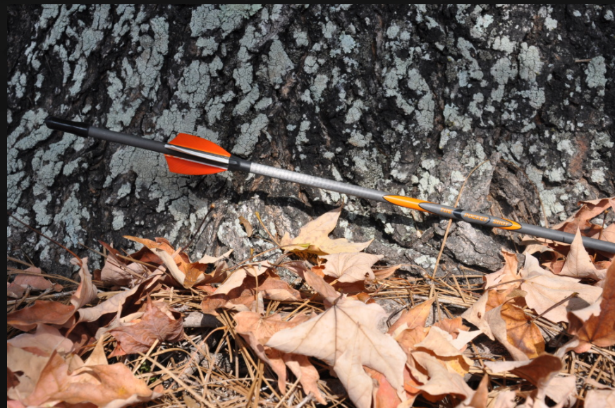 Pocket Shot Arrows (3 Pack)