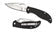 Spyderco Byrd Crow G10 BY10GP Folding Knife - Plain