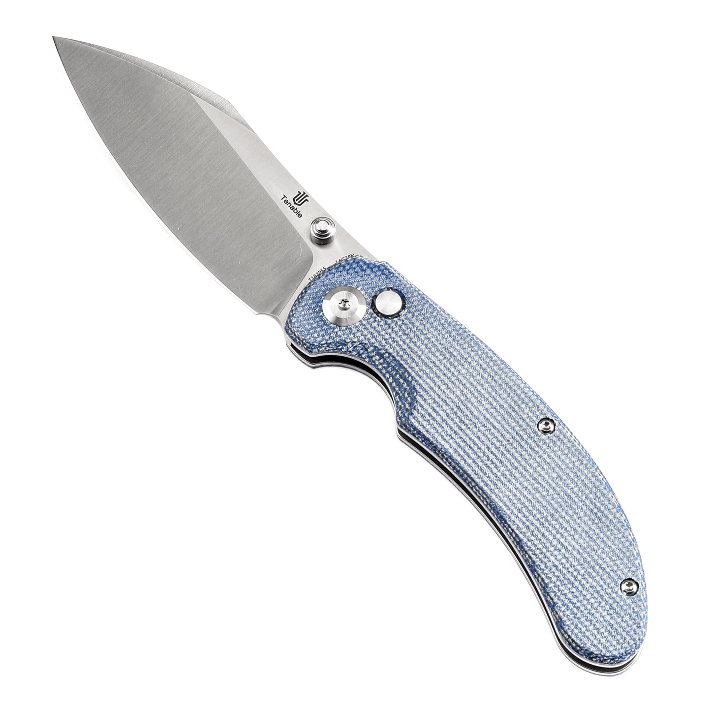 Tenable Nesstreet T1039F5 blue Micarta handle scales