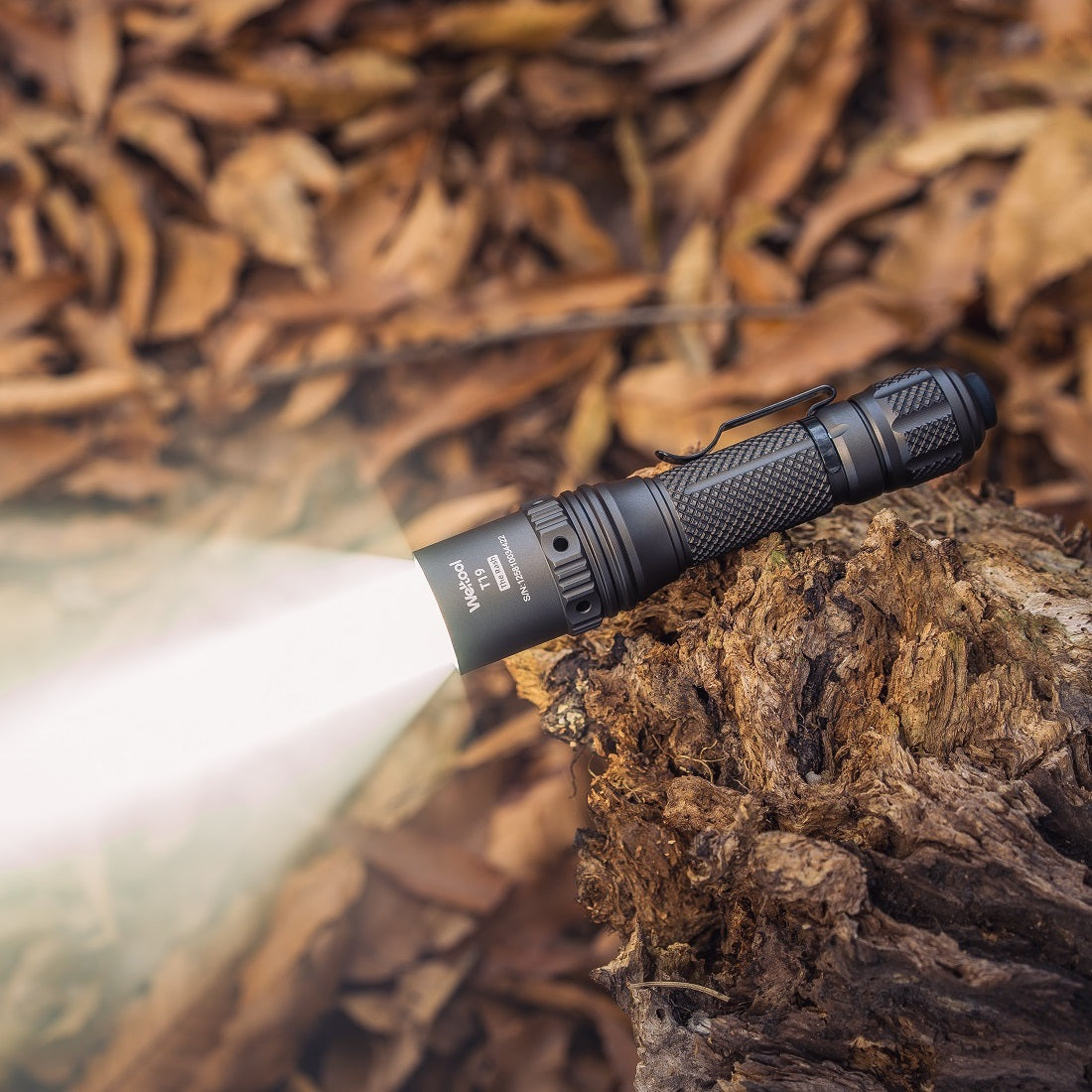 Weltool T19 high-CRI 5000K LED beam shot