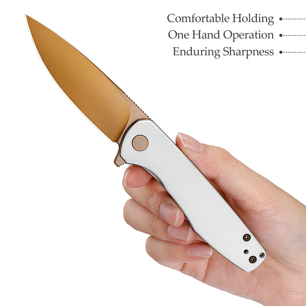 TRIVISA Hummingbird-WG JM07-WG-14 – 2.9" 14C28N Drop Point Liner Lock Knife with G10 Handle