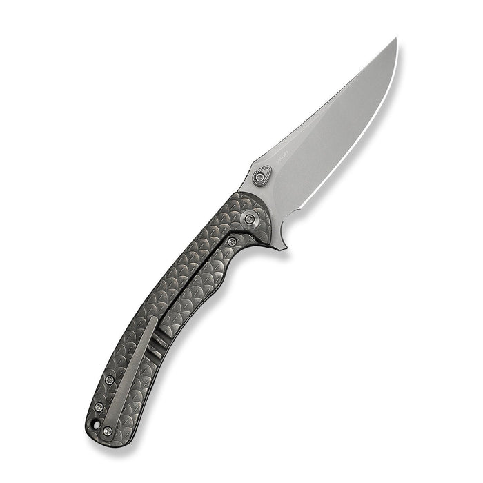 Folded WE Knife Dracarys WE25061B-1 with gray titanium handle and clip