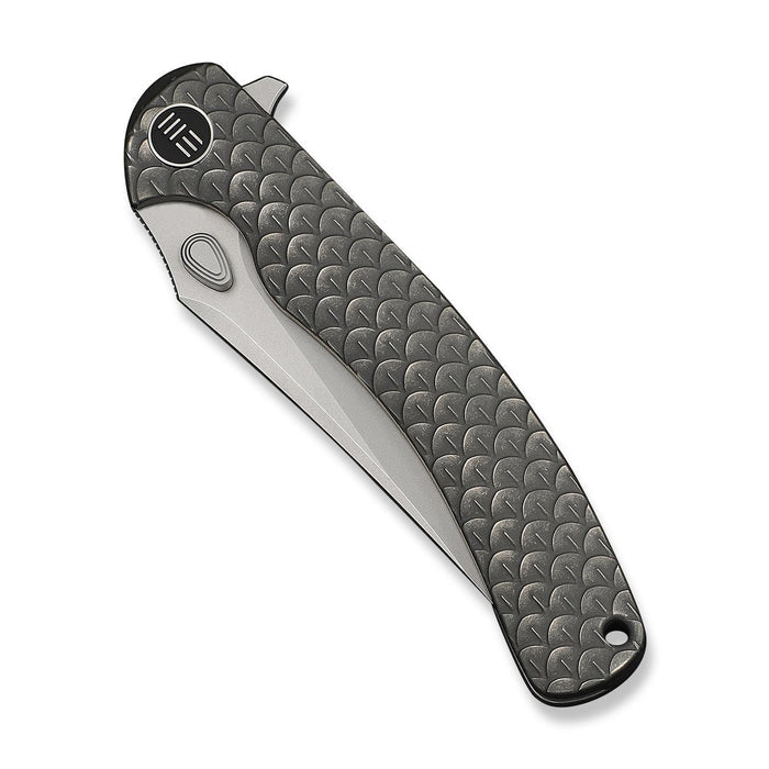 WE Knife Dracarys WE25061B-1 3.58" M390 frame lock knife with textured gray titanium handle