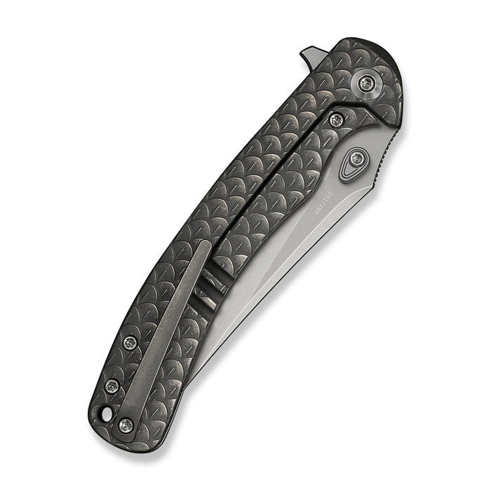 Closed view of WE Knife Dracarys WE25061B-1 with textured gray titanium handle and pocket clip